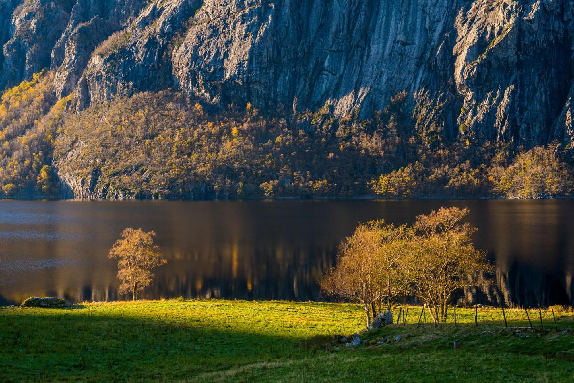 Hytte Ved Preikestolen Forsand Exteriér fotografie
